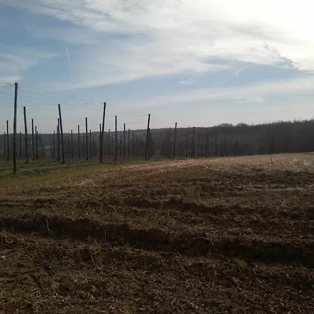 Gasthof Euverem Gulpen