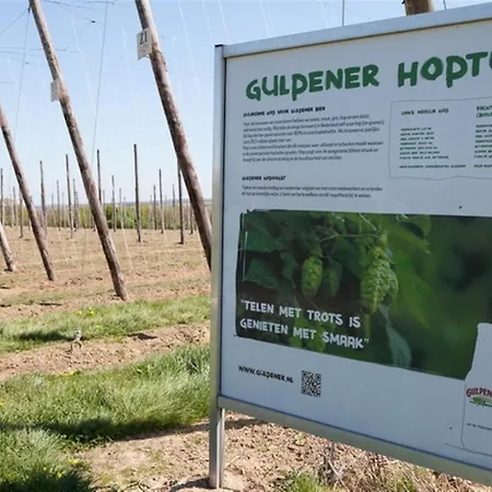 מלון Euverem חולפן