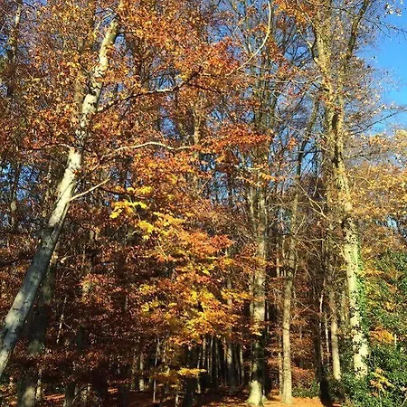 Hotell Gasthof Euverem 2*