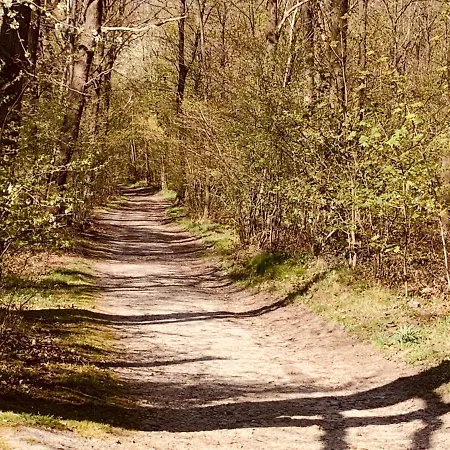 Euverem 2* חולפן