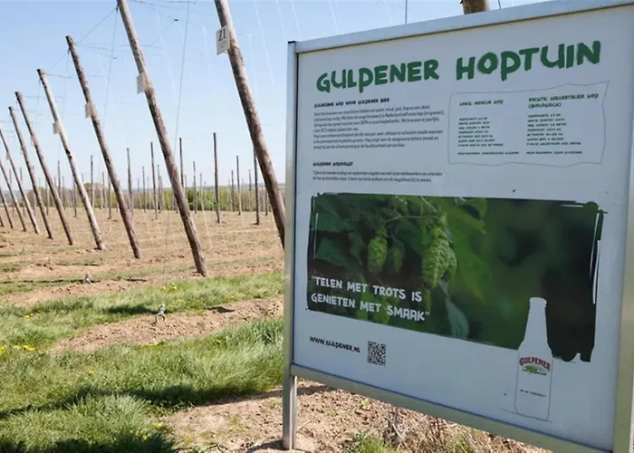 فندق Euverem غولبين