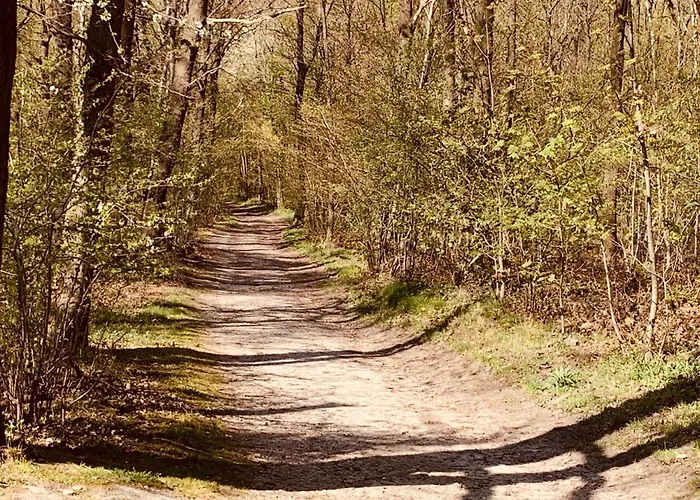 Euverem 2* غولبين